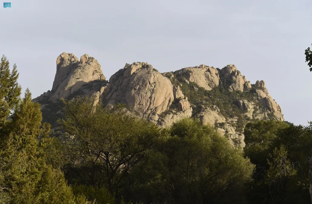 وادي-ذي-غزال-في-الطائف-يعيد-تعريف-السياحة-الطبيعية-والمغامرة-الهادئة