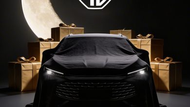 إم-جي-تتصدر-مبيعات-السيارات-المستوردة-في-مصر-لعام-2025