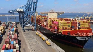 حاويات-الإسكندرية-تستقبل-أكبر-سفينة-في-تاريخ-الميناء-بحمولة-تتجاوز-188-ألف-طن