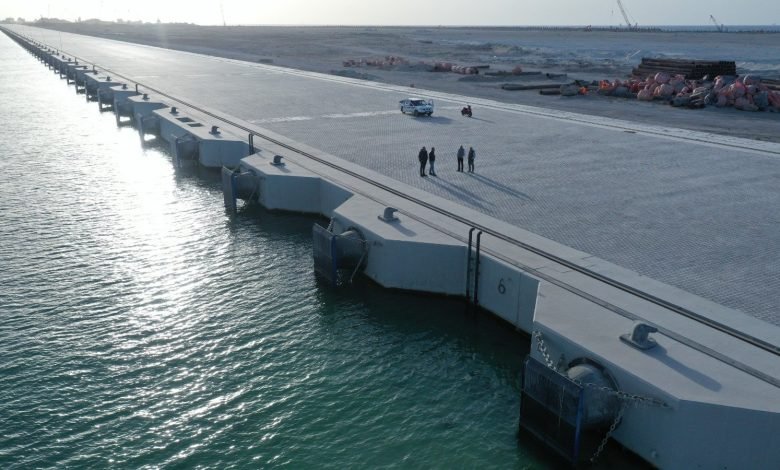 5-معلومات-عن-مشروع-إنشاء-محطة-تحيا-مصر-2-متعددة-الأغراض-على-رصيف-100-بميناء-الدخيلة