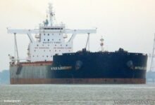 محطة-سكاي-بورتس-«-شرق-بورسعيد-»-تستقبل-ثالث-أكبر-سفينة-صب-جاف-منذ-بدء-نشاط-تداول-بضائع-الصب