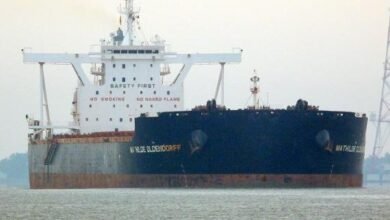 محطة-سكاي-بورتس-«-شرق-بورسعيد-»-تستقبل-ثالث-أكبر-سفينة-صب-جاف-منذ-بدء-نشاط-تداول-بضائع-الصب
