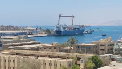 موانئ-البحر-الأحمر-:-وصول-وسفر-1220-راكباً-من-و-إلى-السعودية-والأردن