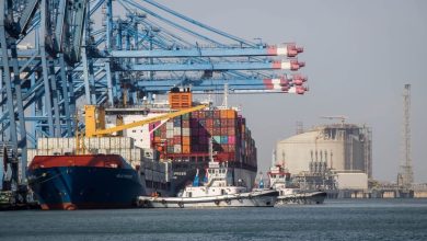 ميناء-دمياط-:-يستقبل-24-سفينة-متنوعة-خلال-24-ساعة