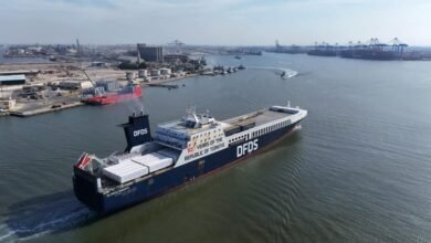 ميناء-دمياط-يستقبل-10-سفن-خلال-24-ساعة