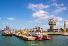 ميناء-دمياط-:-25-سفينة-اجمالي-عدد-السفن-الموجودة-بالميناء-اليوم