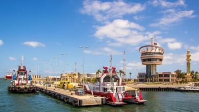 ميناء-دمياط-:-25-سفينة-اجمالي-عدد-السفن-الموجودة-بالميناء-اليوم 