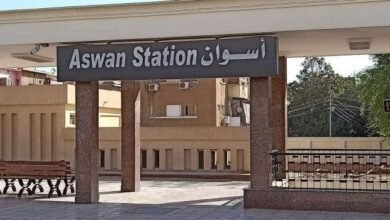 الأثنين-حجز-اليوم-الثانى-لقطارت-عيد-الفطر .-تعرف-على-مواعيد-قطار-2006-ثانية-فاخرة-أبو-الهول -«القاهرة-ـ-أسوان-»