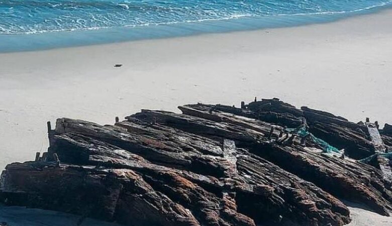 مفقودة-منذ-أكثر-من-قرن-الرياح-تعيد-إلى-الواجهة-السفينة-«لورانس-ن.-ماكنزي»