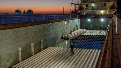 55-ألف-طن-إجمالي-عدد-تداول-البضائع-في-ميناء-دمياط