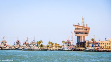 ميناء-دمياط-: -28-سفينة-اجمالي-عدد-السفن-الموجودة-بالميناء-اليوم