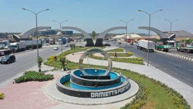 ميناء-دمياط-:-تستقبل-55-ألف-طن-قمح-من-روسيا-لصالح-القطاع-العام 