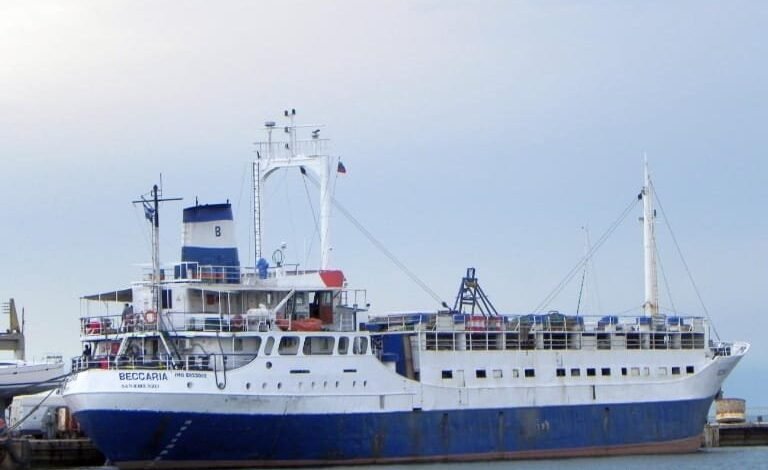 وصول-1458-رأس-عجول-حية-لميناء-سفاجا-وتداول-22-ألف-طن-و1100-شاحنه-بموانئ-البحر-الأحمر 