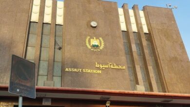 من-يوم-23-مارس-مواعيد-قطار-1946-vip-«أسيوط-ـ-أسوان-»-لعيد-الفطر