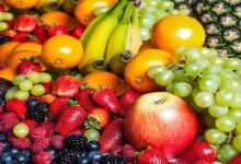 تصدير-275-الف-طن-فواكه-ومنتجات-غذائية-لـ-176-دولة-والسعودية-ورسيا-وايطاليا-في-المقدمة