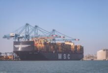 ميناء-دمياط-:-تستقبال-السفن-العملاقة-ذات-الغاطس-الكبير-«msc-arina»-و«al-dhail»