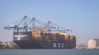 ميناء-دمياط-:-تستقبال-السفن-العملاقة-ذات-الغاطس-الكبير-«msc-arina»-و«al-dhail»