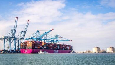 ميناء-دمياط-:-21-سفينة-اجمالي-عدد-السفن-الموجودة-بالميناء-اليوم