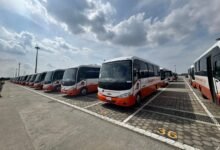 المنصور-للسيارات-تُصدر-100-حافلة-إلى-غانا-في-أول-عملية-تصدير-من-ميناء-شرق-بورسعيد-إلى-العالم