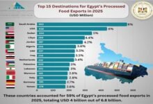 تعرف-على-خريطة-صادرات-الصناعات-الغذائية-المصرية-خلال-2025