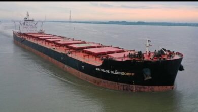 ميناء-شرق-بورسعيد-يستقبل-سفينة-صب-جاف-عملاقة-تحمل-165-ألف-طن-من-خام-الحديد