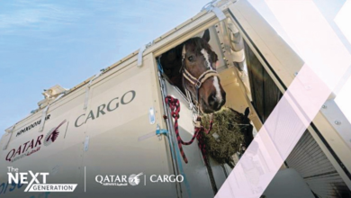 قطر-تنقل-147-من-نخبة-خيول-القفز-الي-مدينة-لييج-البلجيكية