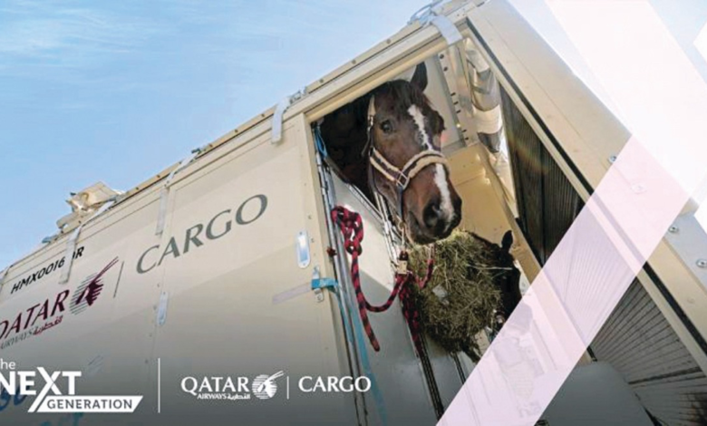 قطر-تنقل-147-من-نخبة-خيول-القفز-الي-مدينة-لييج-البلجيكية