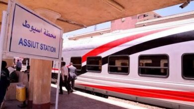العودة-إلى-القاهرة-تفاصيل-قطار-871-ثالثه-مكيفة-من-أسيوط 