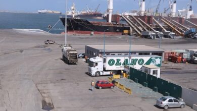 تداول-22-ألف-طن-1194-شاحنة-بضائع-عامة-ومتنوعة-بموانئ-البحر-الأحمر