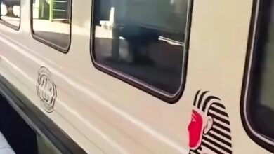 من-أسوان-والصعيد-للقاهرة.-مواعيد-وأسعار-تذاكر-قطارات-«أبو-الهول»-2007-–-2015