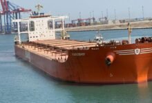 ميناء-شرق-بورسعيد-يستقبل-السفينة-«mv-paroship»-أكبر-سفينة-صب-جاف-ترسو-في-ميناء-مصري