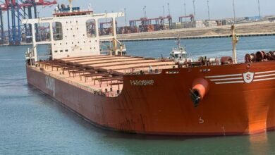 ميناء-شرق-بورسعيد-يستقبل-السفينة-«mv-paroship»-أكبر-سفينة-صب-جاف-ترسو-في-ميناء-مصري