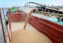 ميناء-دمياط-يستقبل-63-ألف-طن-قمح-قادمة-من-روسيا 