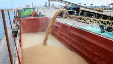 ميناء-دمياط-يستقبل-63-ألف-طن-قمح-قادمة-من-روسيا 