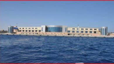 تداول-11-ألف-طن-من-البضائع-و-766-شاحنة-بضائع-بموانئ-البحر-الأحمر 