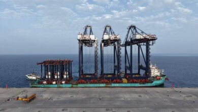 وزير-النقل-يعلن-وصول-ثلاثة-أوناش-رصيف-عملاقة-و6-أوناش-ساحة-إلى-محطة-(سفاجا-2)