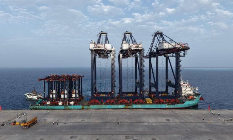 وزير-النقل-يعلن-وصول-ثلاثة-أوناش-رصيف-عملاقة-و6-أوناش-ساحة-إلى-محطة-(سفاجا-2)