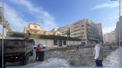 محافظ-الإسكندرية-يكلف-برفع-كافة-المخلفات-بحرم-الترام-من-فيكتوريا-حتى-محطة-الرمل