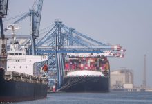 ميناء-دمياط-:-تستقبل-سفينة-الحاويات-العملاقة-(-ym-wellspring-)-القادمة-من-سنغافورة