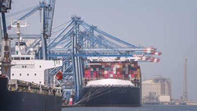 ميناء-دمياط-:-تستقبل-سفينة-الحاويات-العملاقة-(-ym-wellspring-)-القادمة-من-سنغافورة