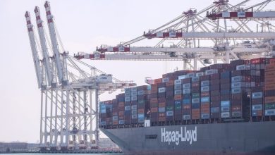 التقرير-اليومي-:-ميناء-دمياط-يسجل-تداول-80 -ألف-طن-بضائع-في-24-ساعه