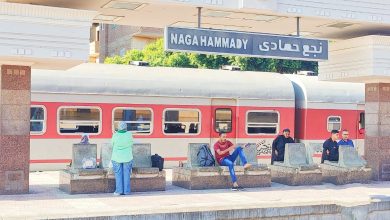 بـ-90-جنيهاً.توقفات-قطار-1007-روسى-تهوية-«نجع-حمادى-ـ-القاهرة»