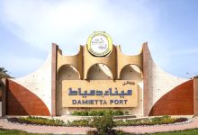 ميناء-دمياط-:-تستقبل-114-ألف-طن-قمح-لصالح-القطاع-العام