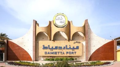 ميناء-دمياط-:-تستقبل-114-ألف-طن-قمح-لصالح-القطاع-العام