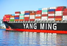 “يانج-مينج”-تدشن-خدمة-جديدة-تربط-آسيا-بالمتوسط-عبر-ميناء-دمياط