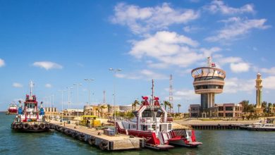 ميناء-دمياط-:-بلغت-حركة-الوارد-من-البضائع-العامة-60-ألف-طن 