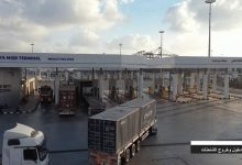 موانيء-البحر-الأحمر-ودمياط-والاسكندرية-يسيطرون-علي-صادرات-السلع-الغذائية-ل-192