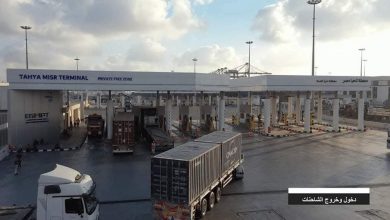 موانيء-البحر-الأحمر-ودمياط-والاسكندرية-يسيطرون-علي-صادرات-السلع-الغذائية-ل-192