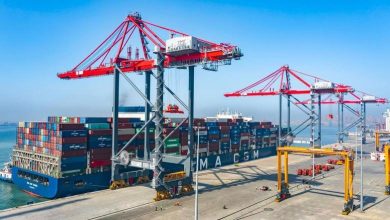 هيئة-ميناء-الإسكندرية-تتداول-164-ألف-طن-بضائع-خلال-24-ساعة 