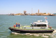 ميناء-دمياط-:-29-سفينة-اجمالي-عدد-السفن-الموجودة-بالميناء-اليوم